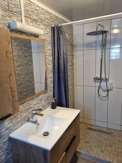 Charmant Logement A L'Ermitage Les Bains ラ・サリーヌ・レ・バン エクステリア 写真